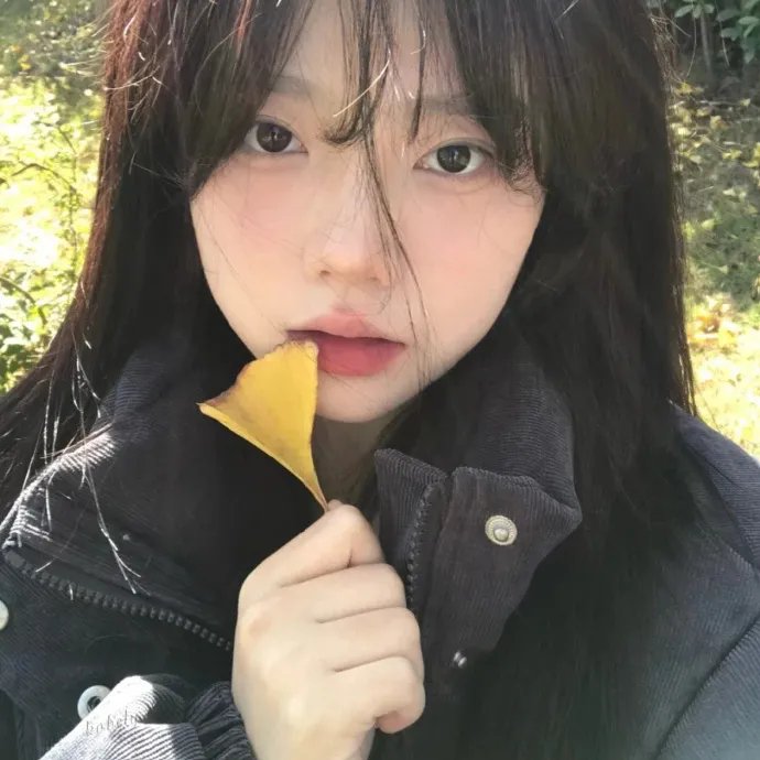 上有老